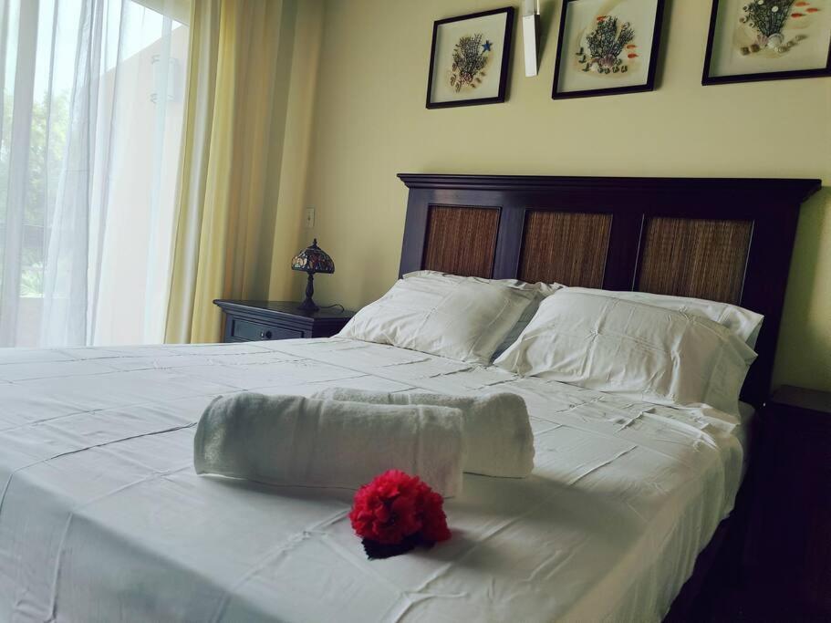 Aruba Family Oasis 2Br Pool 3Min Walk To Eagle Beach Palm Beach Esterno foto