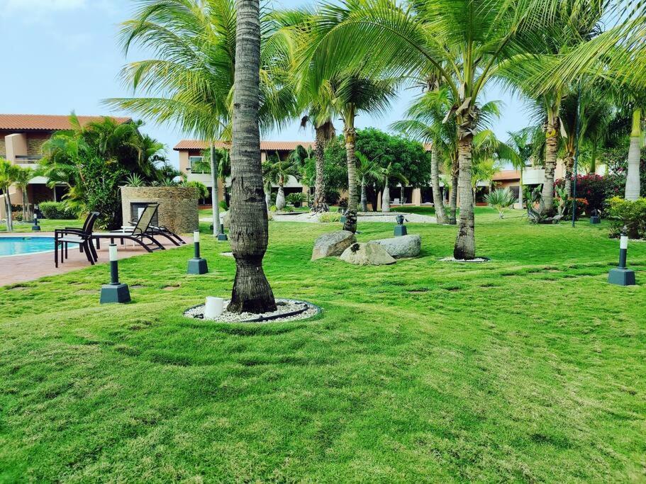 Aruba Family Oasis 2Br Pool 3Min Walk To Eagle Beach Palm Beach Esterno foto