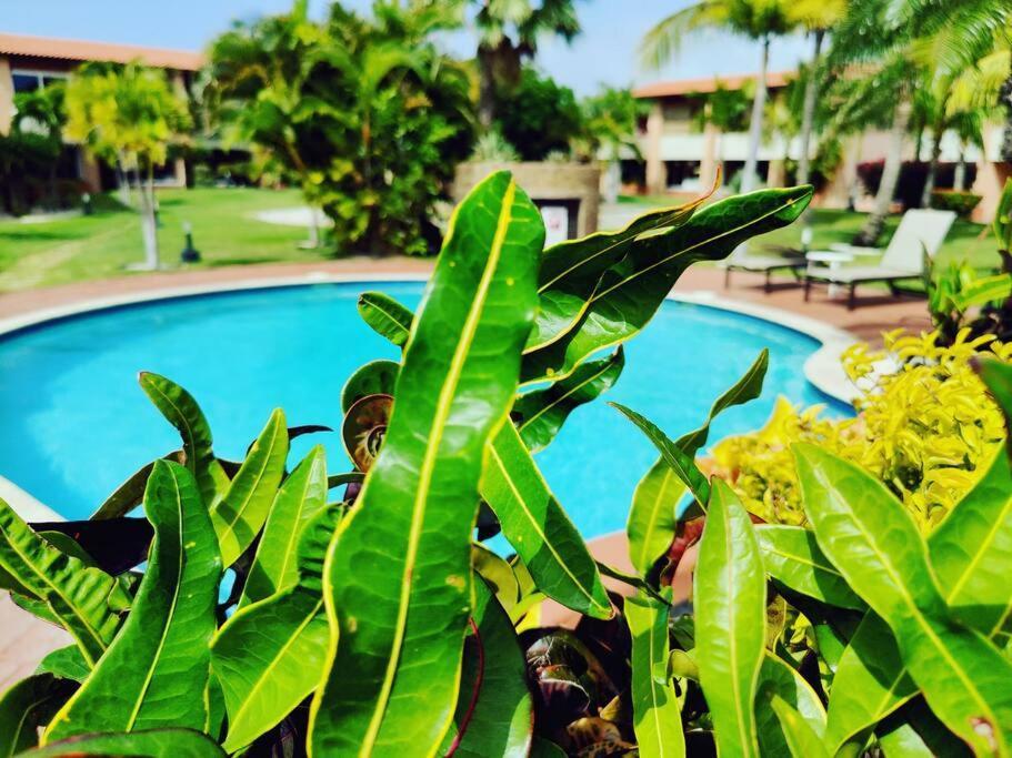 Aruba Family Oasis 2Br Pool 3Min Walk To Eagle Beach Palm Beach Esterno foto