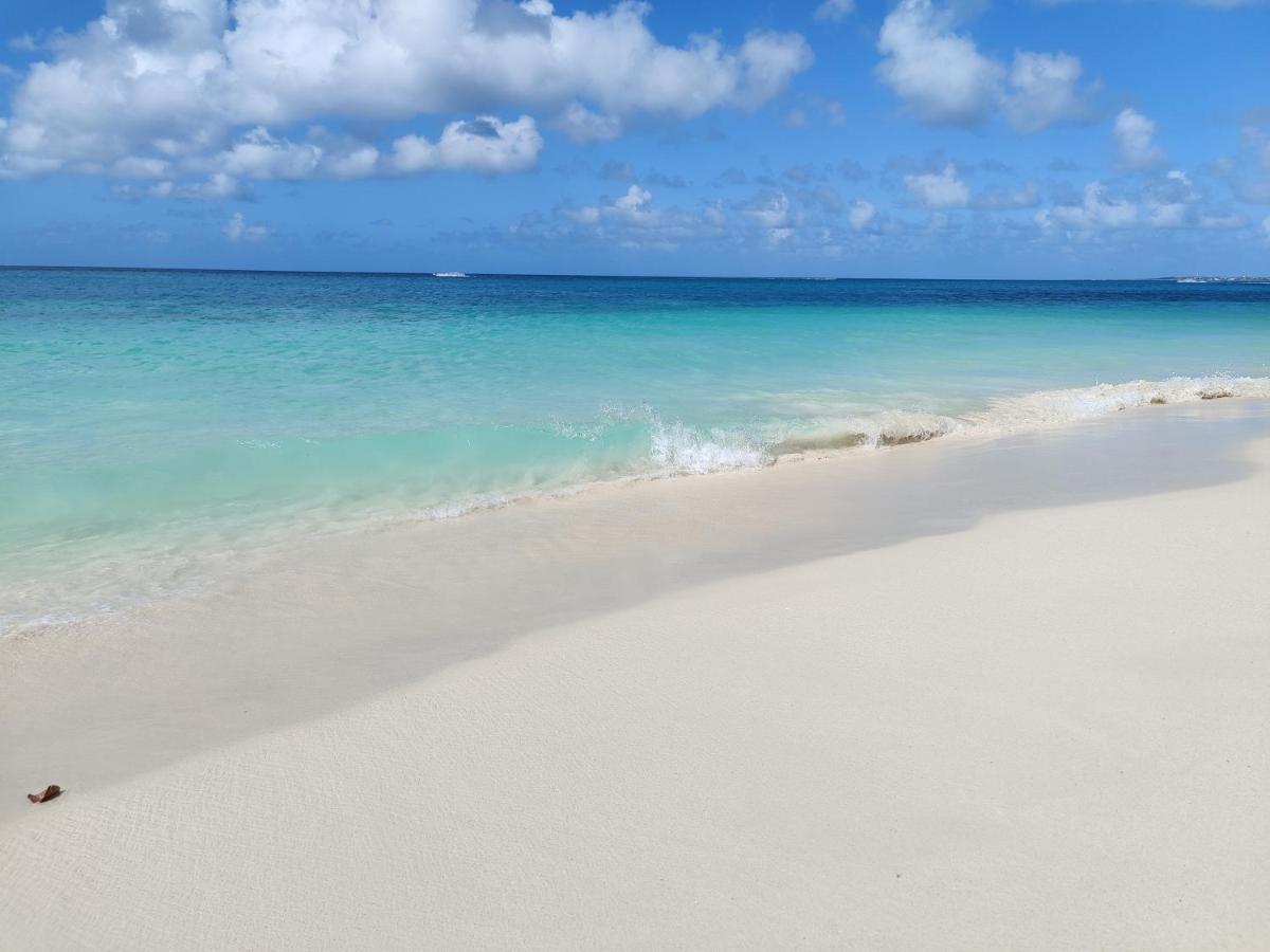 Aruba Family Oasis 2Br Pool 3Min Walk To Eagle Beach Palm Beach Esterno foto