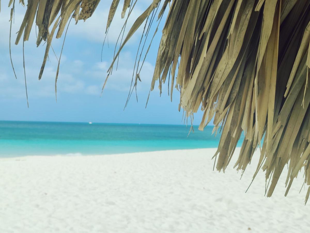 Aruba Family Oasis 2Br Pool 3Min Walk To Eagle Beach Palm Beach Esterno foto