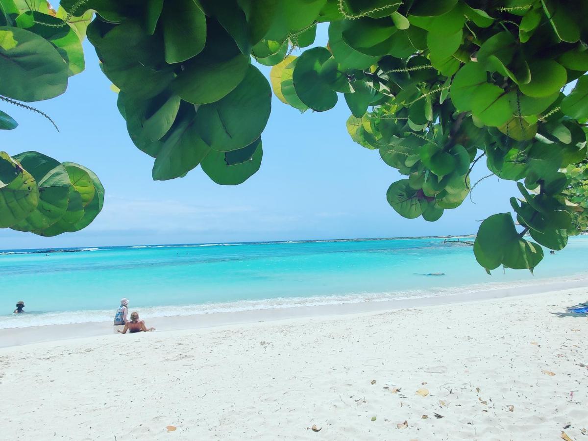 Aruba Family Oasis 2Br Pool 3Min Walk To Eagle Beach Palm Beach Esterno foto